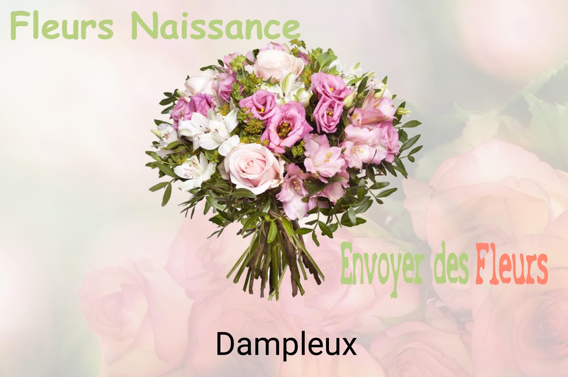 Bouquet de fleurs de naissance livré à Dampleux